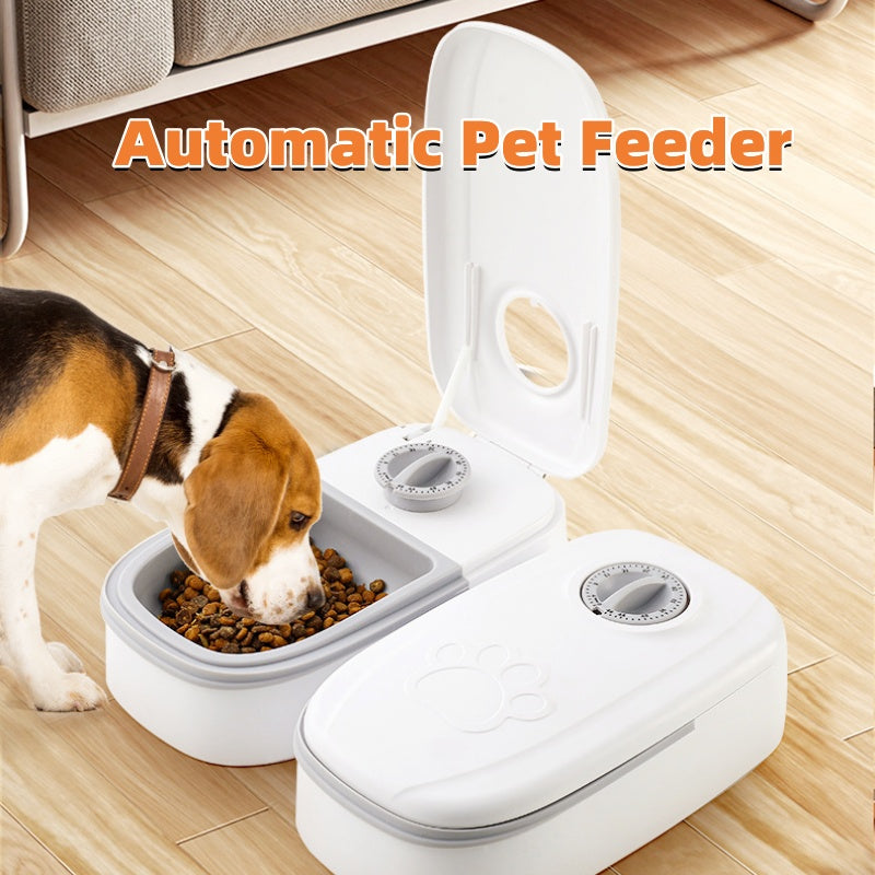 Dispensador Inteligente: Comida Exacta, Mascotas Satisfechas