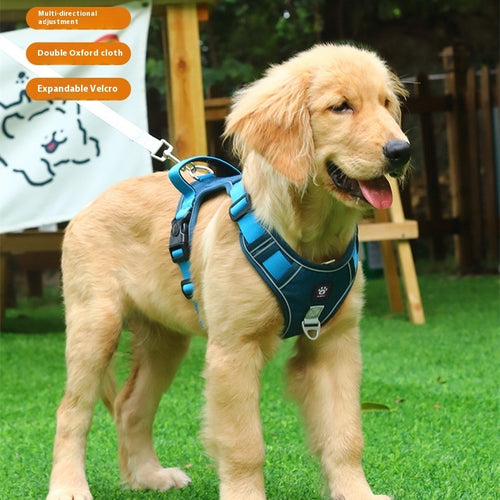 Arnés de Paseo Antitirones para Tu Mejor Amigo
